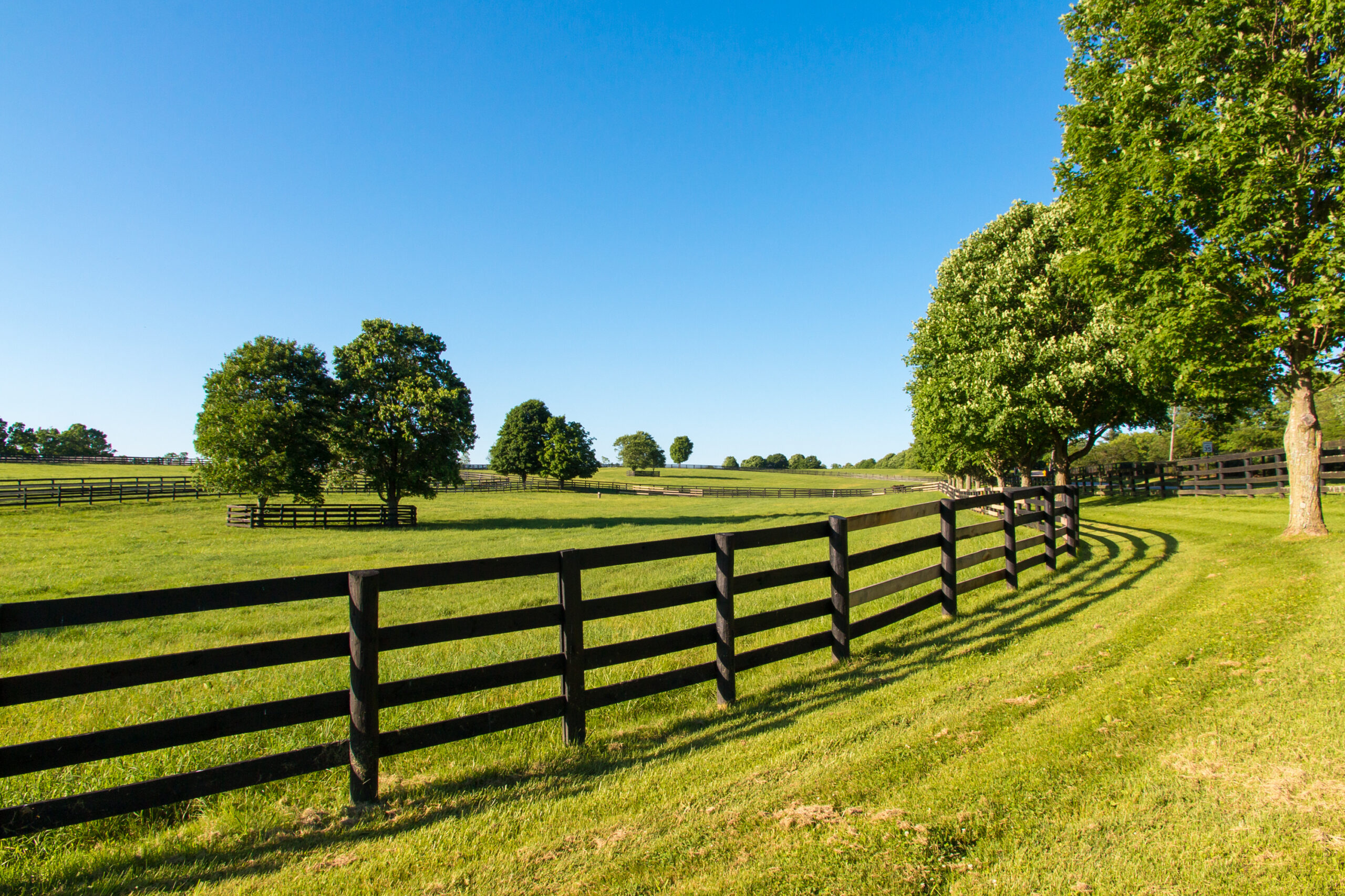 Horse Fencing, Ranch Fencing, Perimeter Fencing Farm Fencing Lancaster County PA