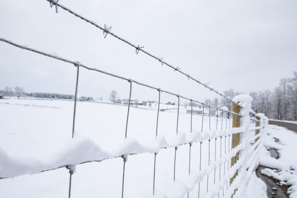 Woven Wire fence installation for farms, cattle & livestock in NJ