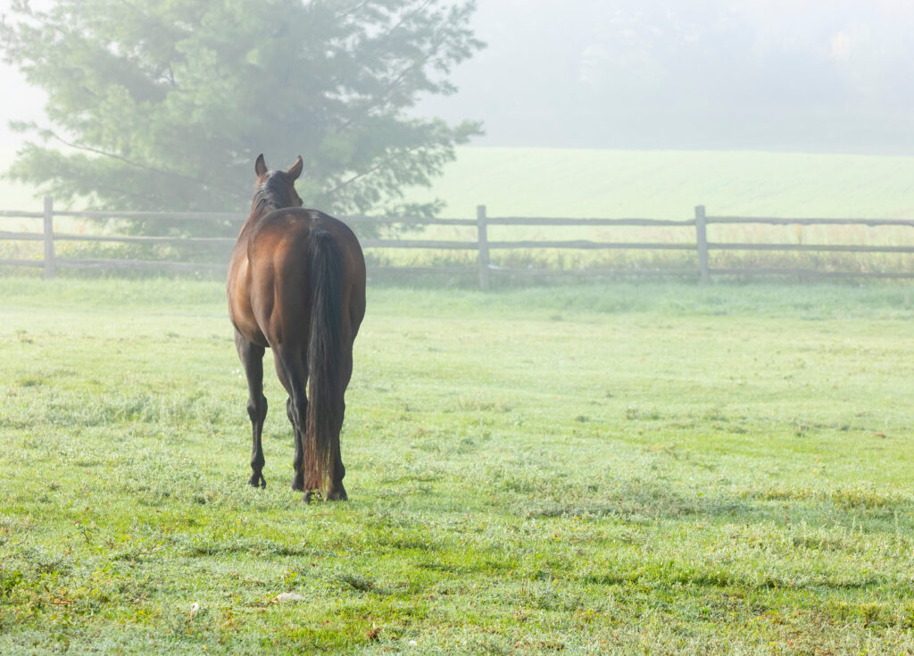 Horse farm fencing Burlington County NJ