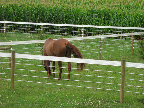 Poly coated wire Fence Installation IN NJ & PA